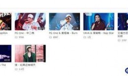 视频爆料歌曲大全集下载